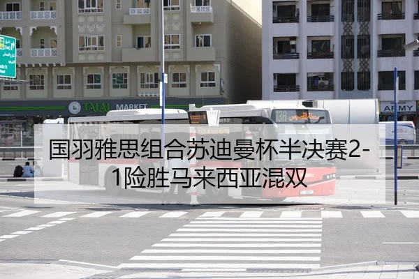 国羽雅思组合苏迪曼杯半决赛2-1险胜马来西亚混双